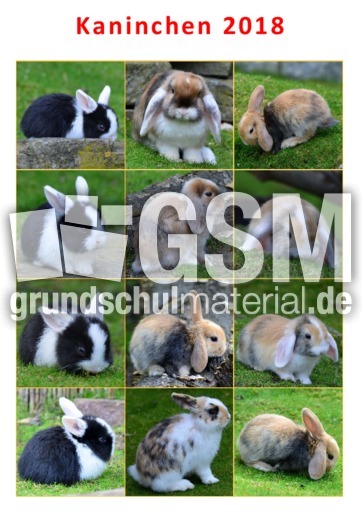 Kaninchenkalender_2018_a.pdf